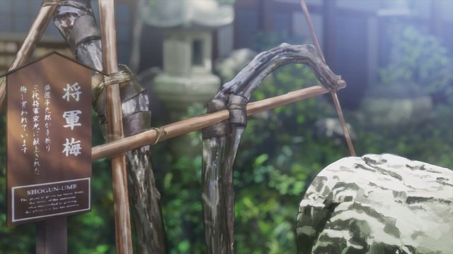 General Plum Tree (Shogunbai)